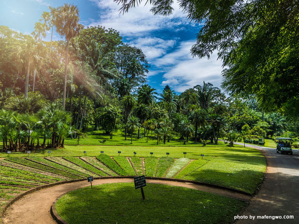 peradeniya-btanical-garden-1